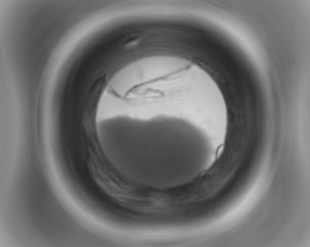 X0000113020143200910081207