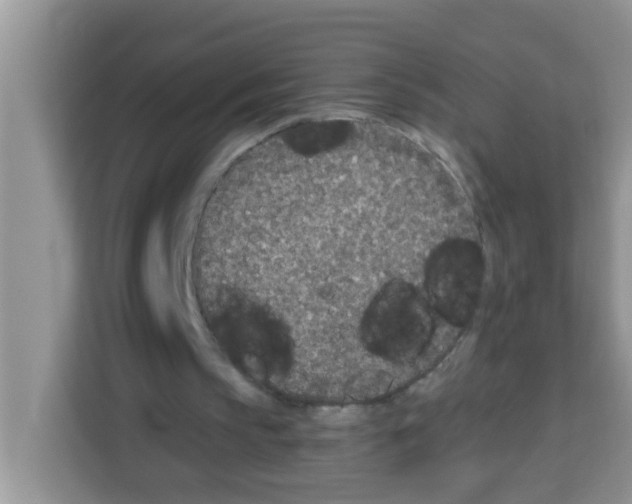 X0000113020145200910081207