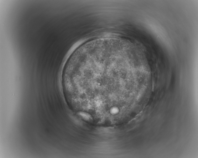 X0000113020147200910081207