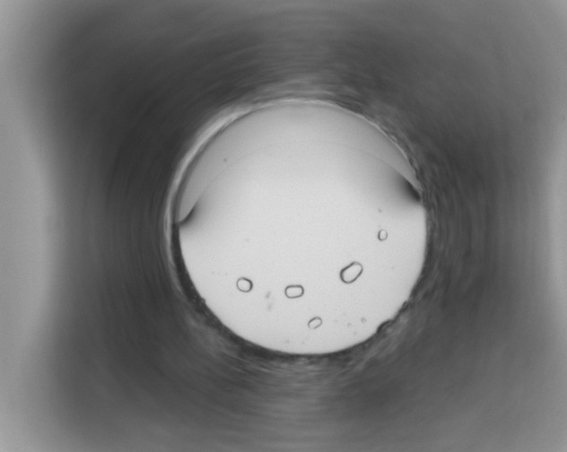 X0000113020148200910081207