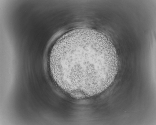 X0000113020149200910081207