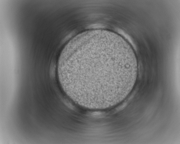 X0000113020153200910081207