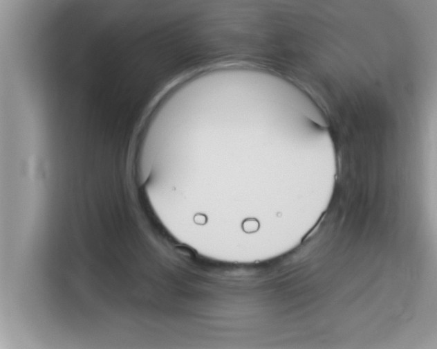 X0000113020156200910081207