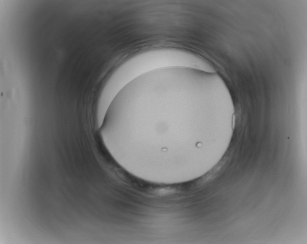 X0000113020158200910081207