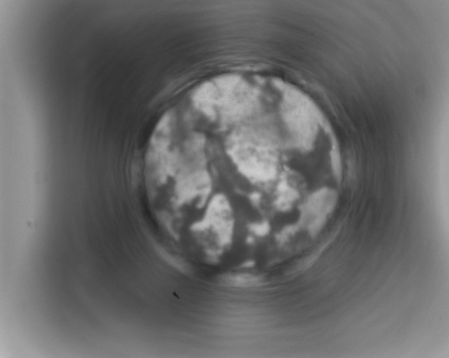 X0000113020165200910081207