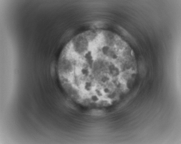 X0000113020169200910081207