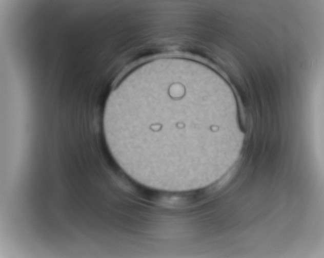 X0000113020174200910081207