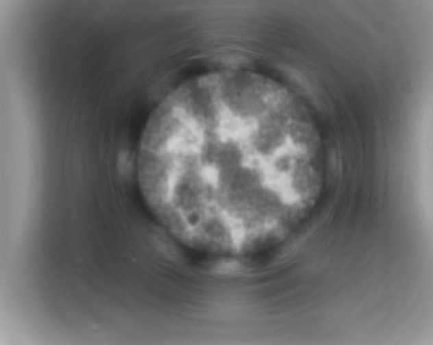 X0000113020177200910081207