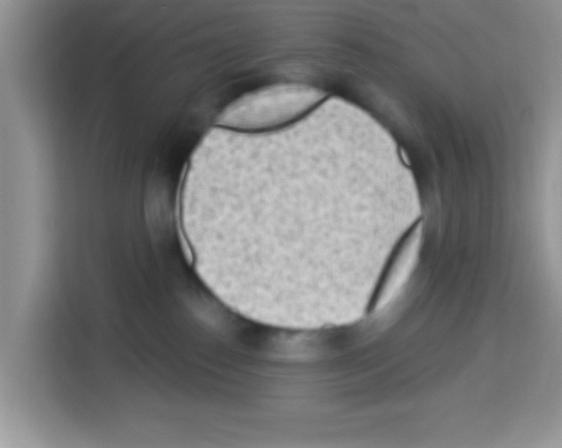 X0000113020186200910081207