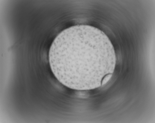 X0000113020187200910081207