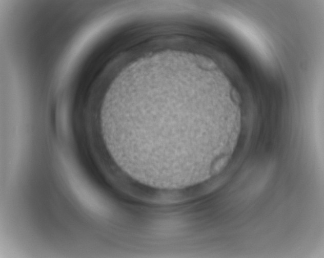 X0000113020189200910081207