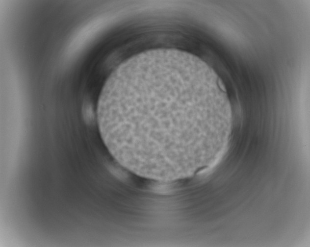 X0000113020191200910081207