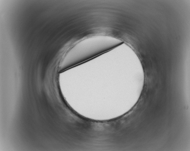 X0000113020193200910081207