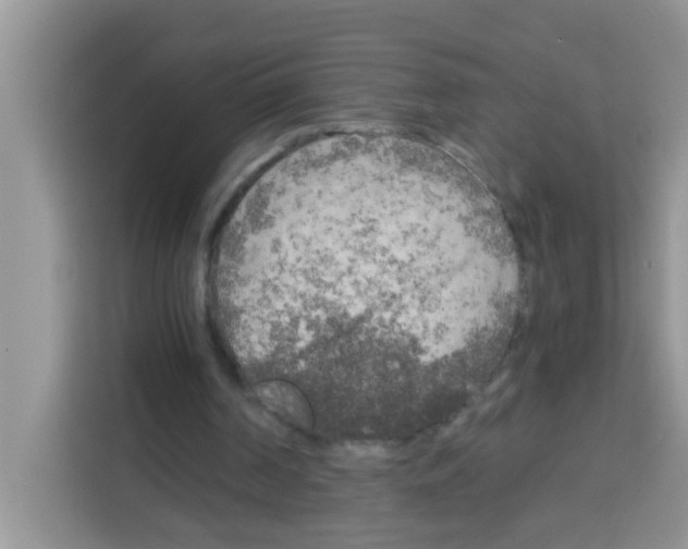 X0000113020194200910081207