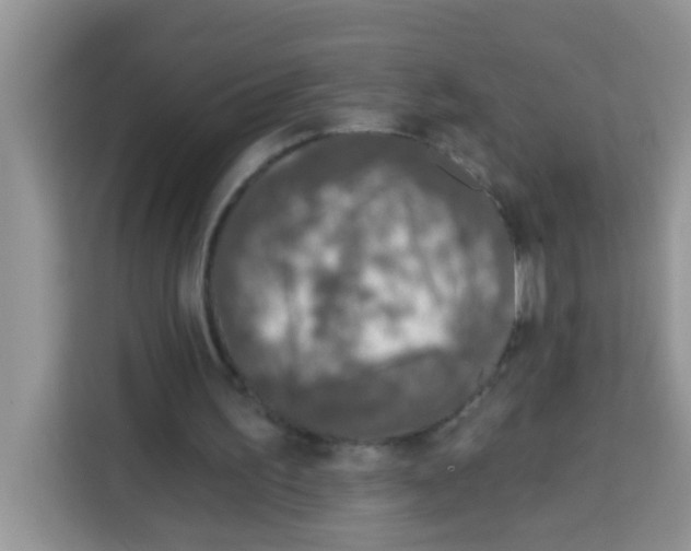 X0000113020195200910081207