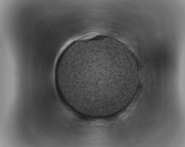 X0000113020196200910081207