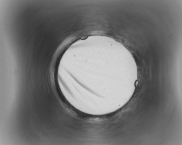 X0000113020197200910081207