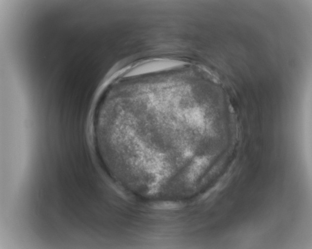 X0000113020198200910081206