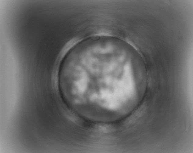 X0000113020199200910081206