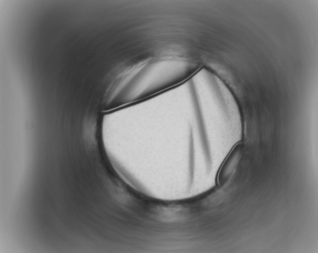 X0000113020201200910081206