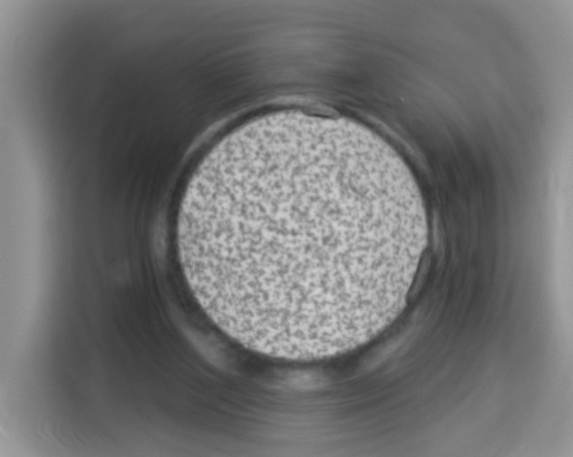 X0000113020204200910081206