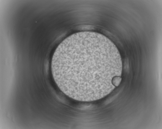 X0000113020206200910081206