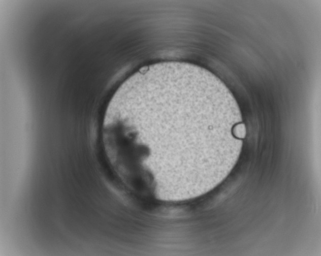 X0000113020208200910081206