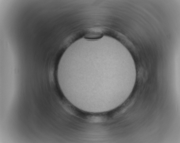 X0000113020209200910081206