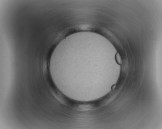 X0000113020213200910081206