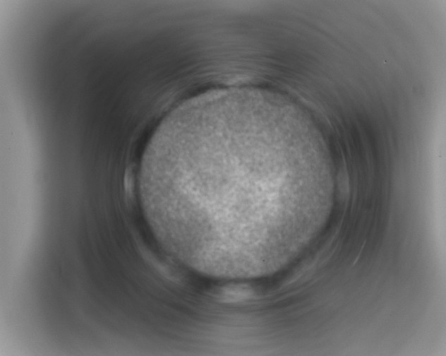 X0000113020214200910081206