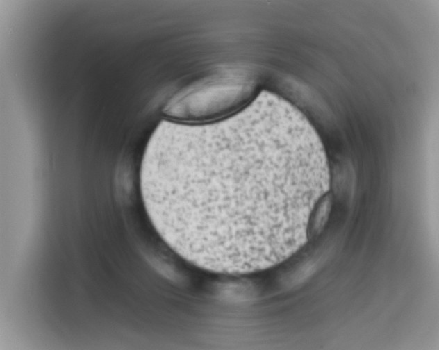 X0000113020215200910081206