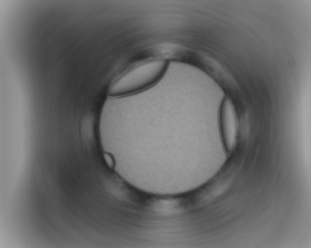 X0000113020217200910081206