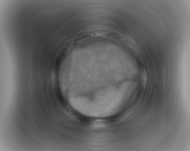 X0000113020222200910081206