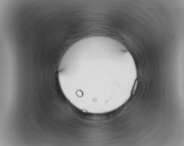 X0000113020223200910081206