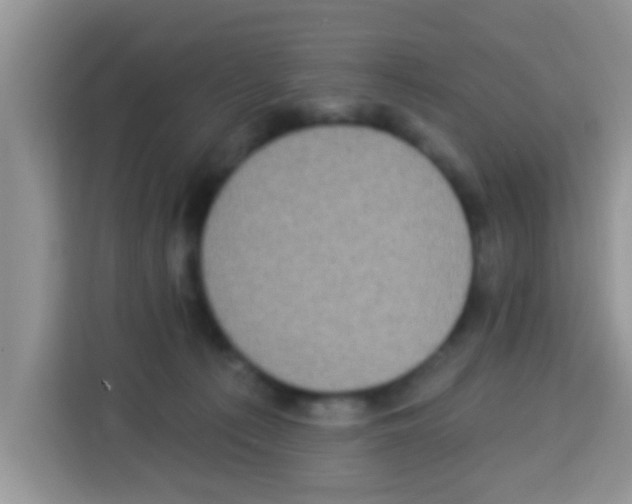 X0000113020225200910081206