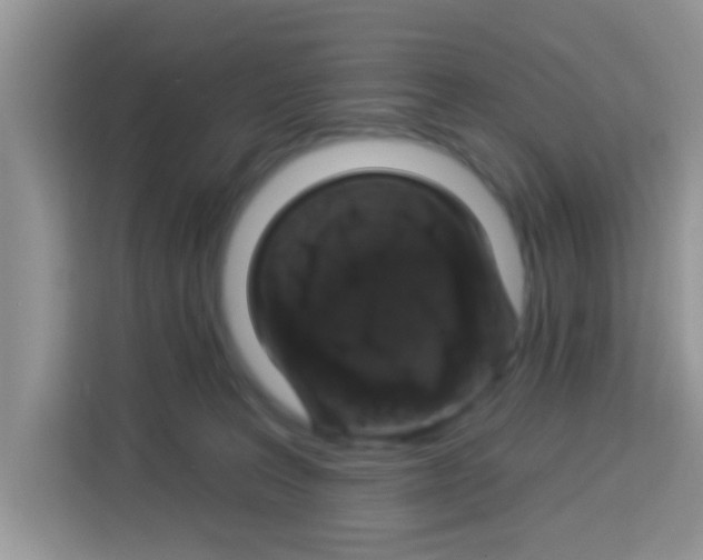 X0000113020227200910081206