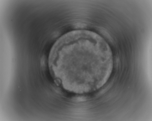 X0000113020228200910081206