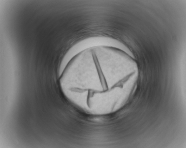 X0000113020229200910081206