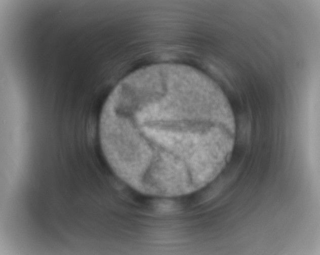 X0000113020230200910081206