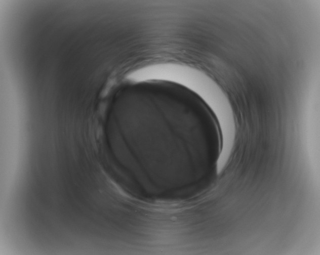 X0000113020231200910081206