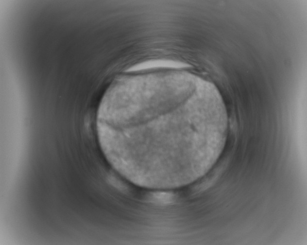 X0000113020233200910081206