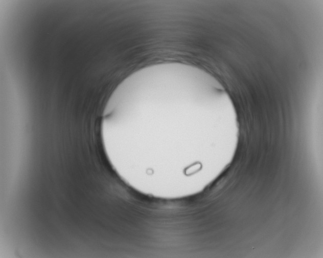 X0000113020235200910081206