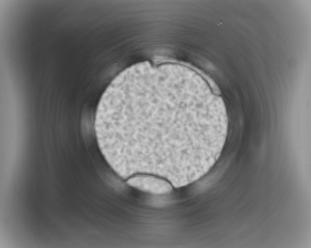 X0000113020240200910081206