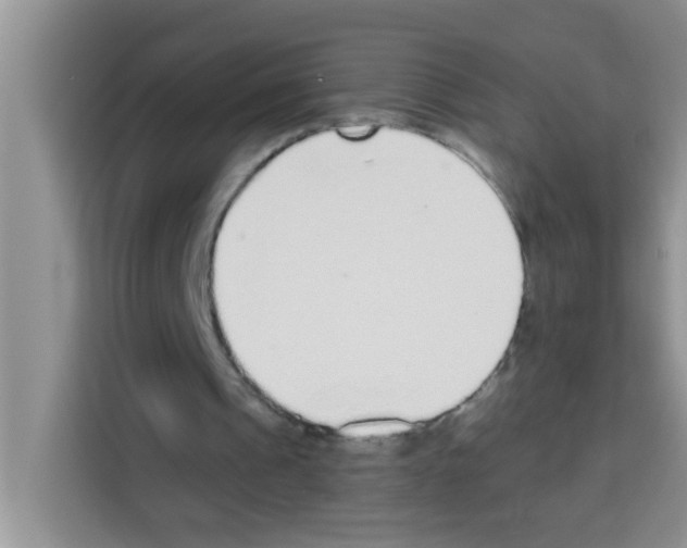 X0000113020241200910081205