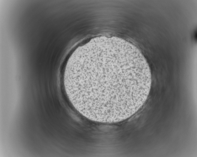 X0000113020242200910081205