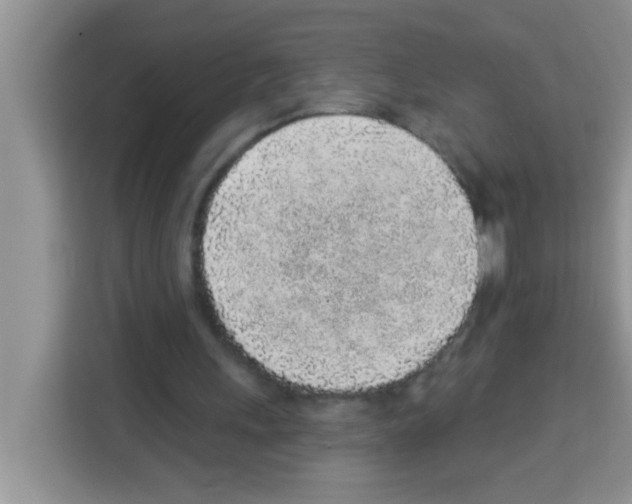 X0000113020243200910081205