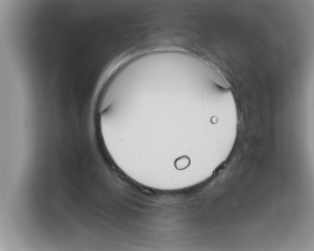 X0000113020248200910081205