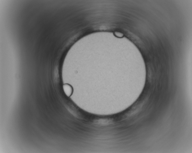 X0000113020251200910081205