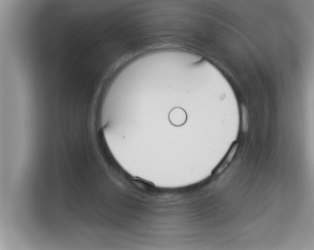 X0000113020252200910081205