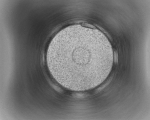 X0000113020253200910081205